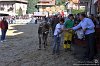 063 Fiera Zootecnica di Serina 2019